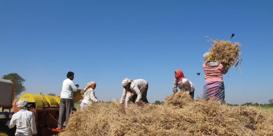 6 Ways Entrepreneurs Are Restoring Farms And Forests: The Land Accelerator South Asia